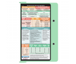 WhiteCoat Clipboard® - Mint OB Ultrasonography Edition